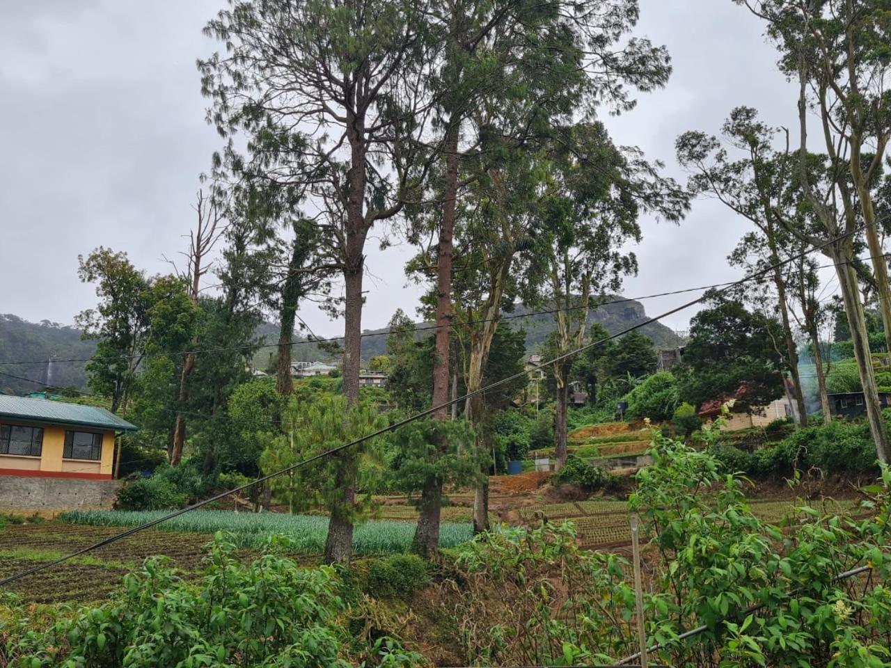 Sasru Holiday Home Nuwara Eliya Exterior photo